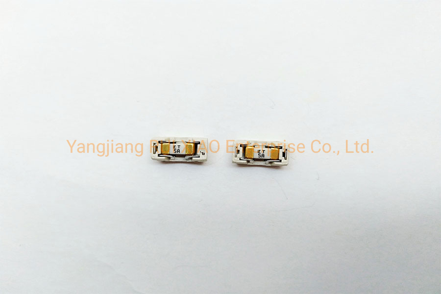 1808 SMD Fuse WITH  Holder 